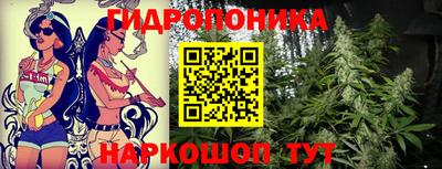 прущие грибы Кунгур