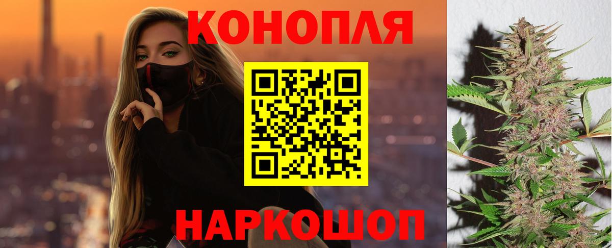 Бошки марихуана сатива  Вход с VPN  Шишки марихуана планчик  Грязи 